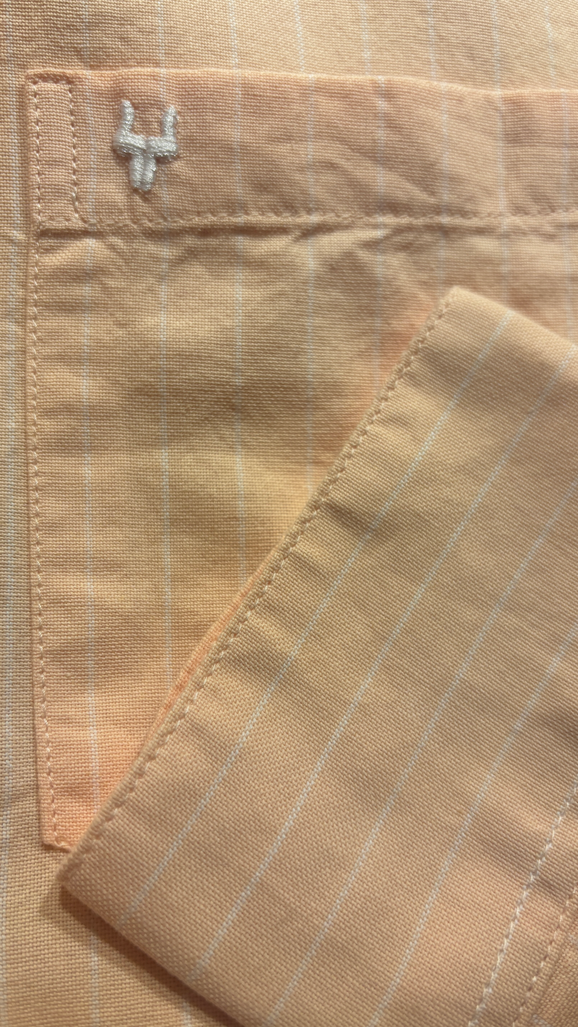 Stripes Oxford Shirt Orange