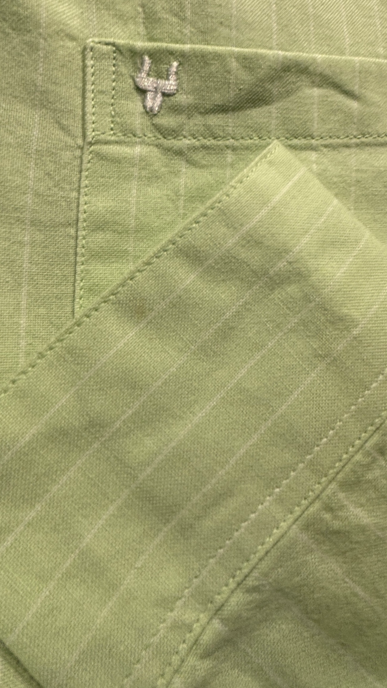 Stripes Oxford Shirt Green